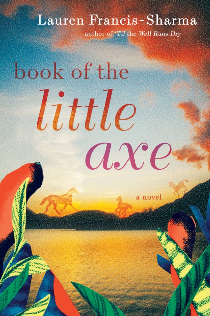 book of the little axe book cover
